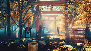 Serene Japanese shrine path with torii gates and autumn foliage in warm golden light HD wallpaper
