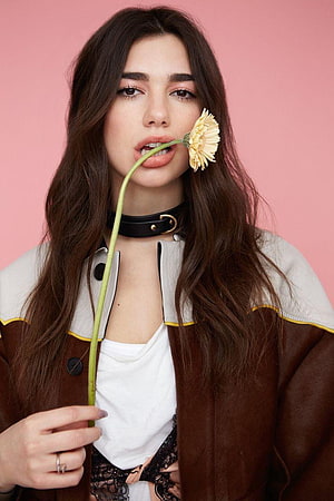 Dua Lipa Portrait Holding Gerbera Daisy Against Pink Studio Background HD phone wallpaper