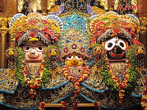 Colorful idols of Lakshmi Narayan and Gopal adorned with flowers and jewelry in a temple setting HD wallpaper