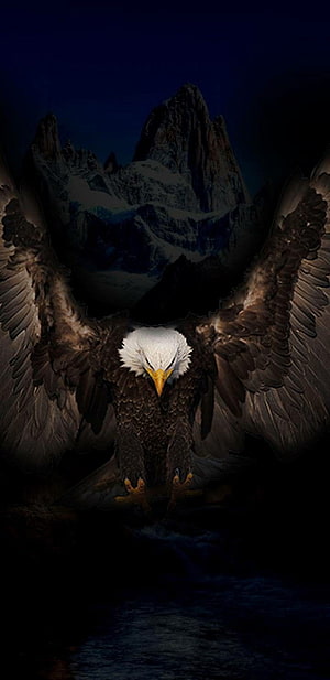 Majestic Bald Eagle with Spread Wings Against Snowy Mountain Peak at Night HD phone wallpaper