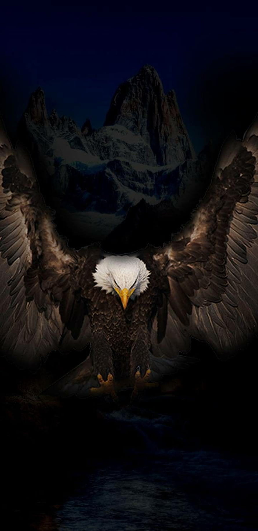 Majestic Bald Eagle with Spread Wings Against Snowy Mountain Peak at Night HD phone wallpaper