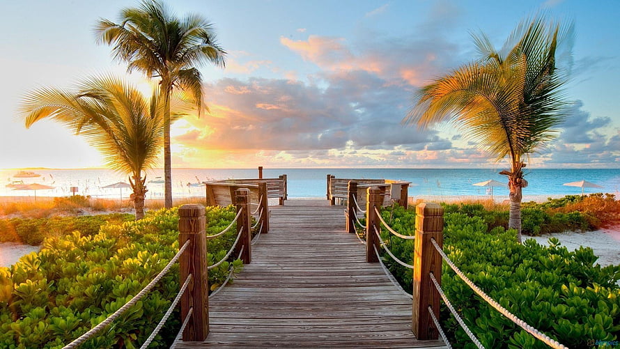 Tropical Wooden Boardwalk Leading to Beach at Sunset with Palm Trees HD wallpaper