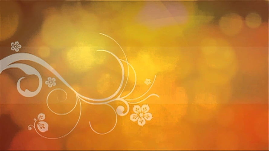 Elegant Floral Scroll Design on Warm Golden Bokeh Background HD wallpaper