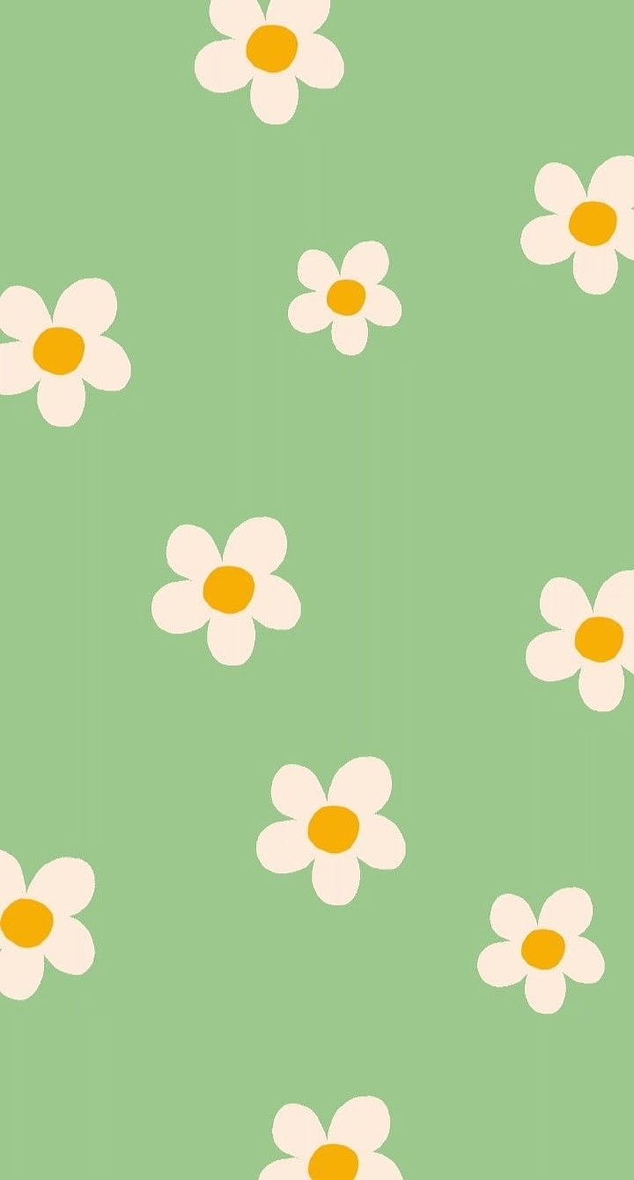 Cute Preppy Green Floral Pattern with White Daisies and Yellow Centers HD phone wallpaper