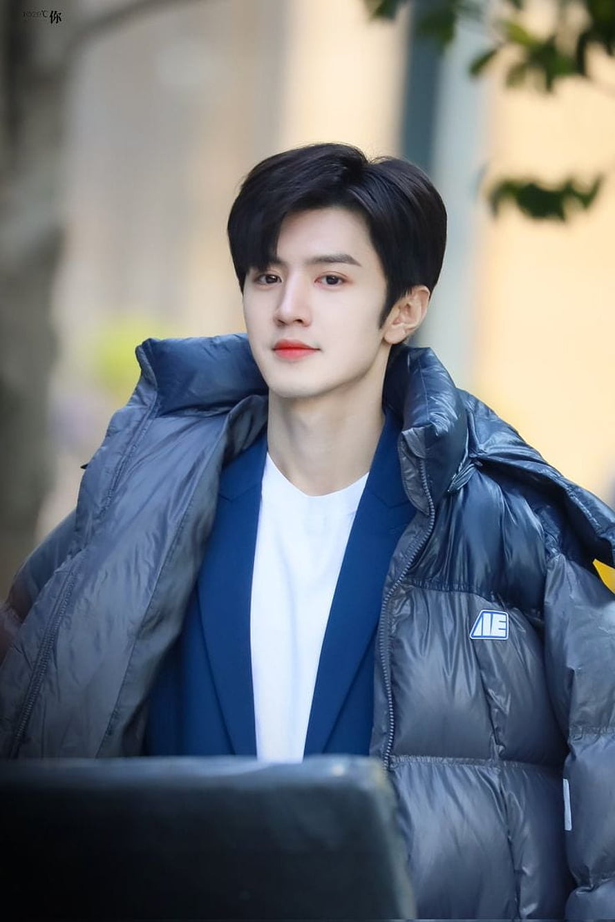 Chen Zheyuan in a black puffer jacket and blue blazer with a soft outdoor background HD phone wallpaper