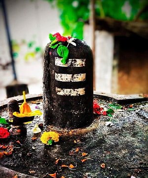 Sacred Shiva Lingam with White Ash Marks and Flower Offerings HD phone wallpaper