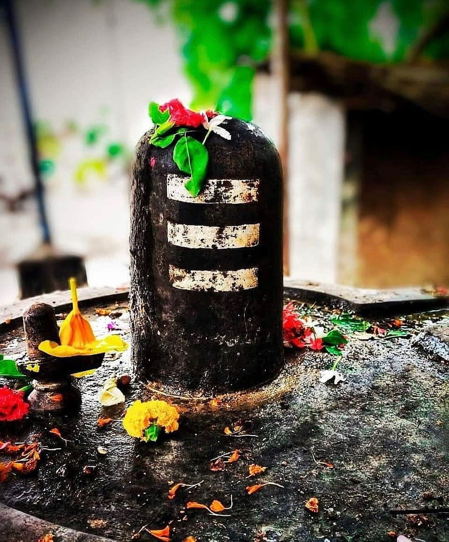 Sacred Shiva Lingam with White Ash Marks and Flower Offerings HD phone wallpaper