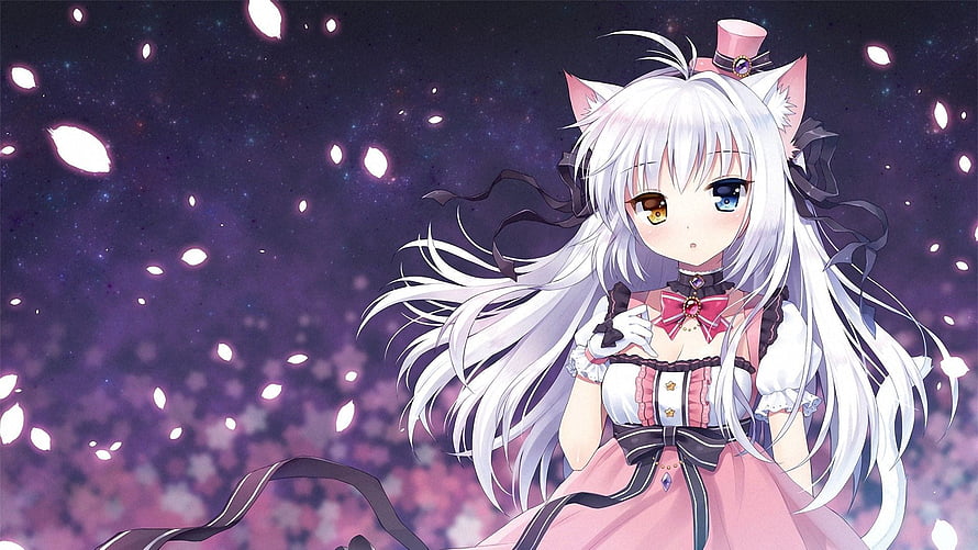 Anime Girl With White Hair And Cat Ears In Pink Dress Under Starry Night Sky HD wallpaper