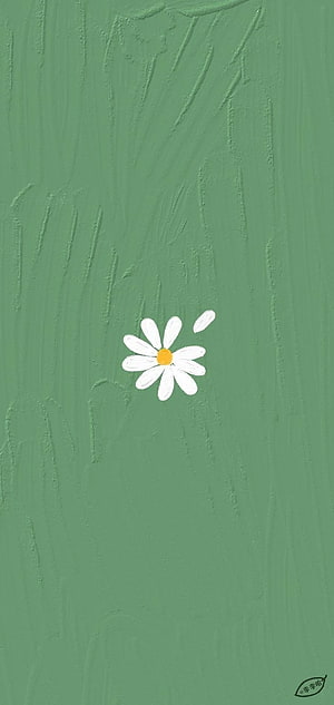 Minimalist White Daisy on Textured Sage Green Background HD phone wallpaper