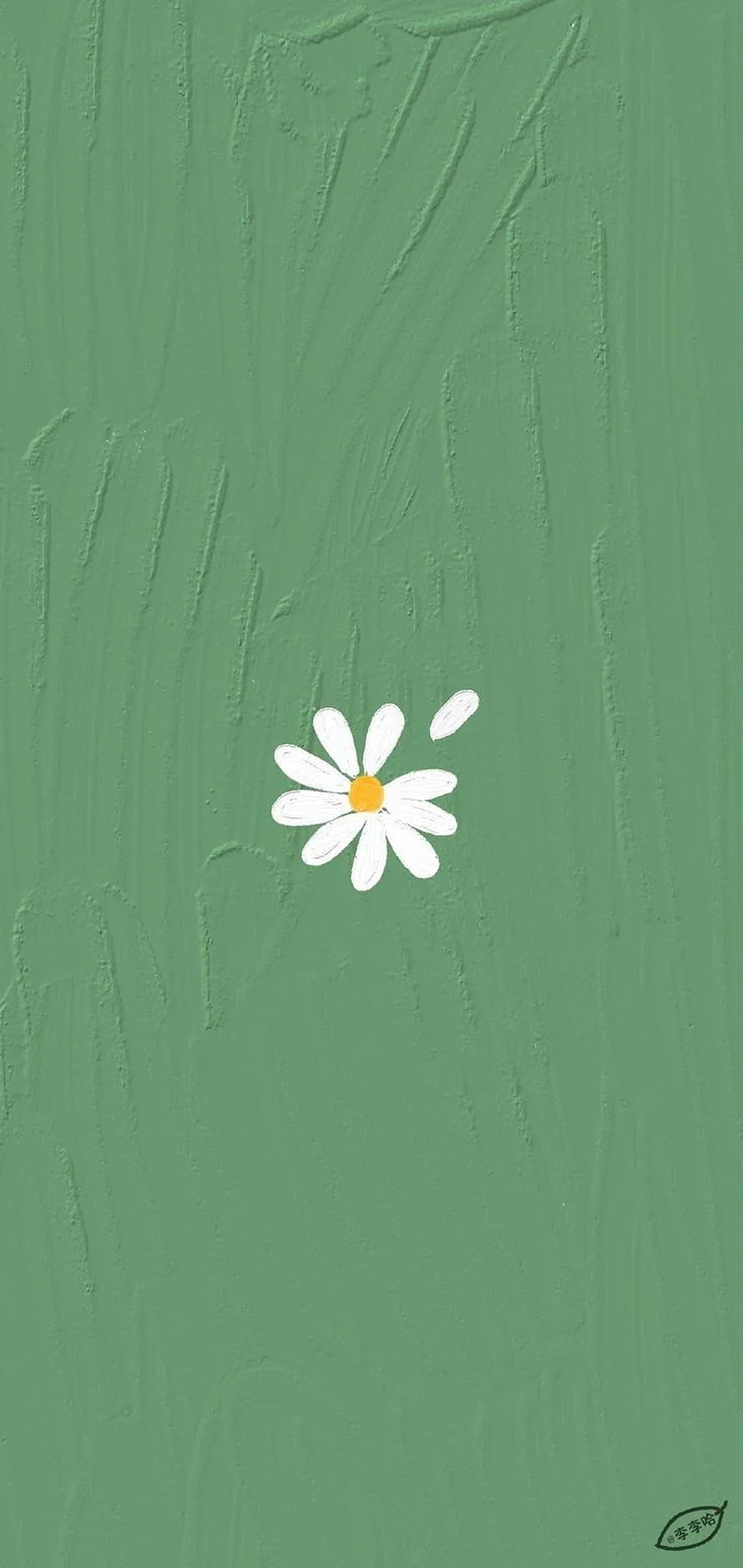 Minimalist White Daisy on Textured Sage Green Background HD phone wallpaper