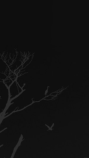 Minimalist Dark Silhouette of Bare Tree Branches and Birds in Flight HD phone wallpaper