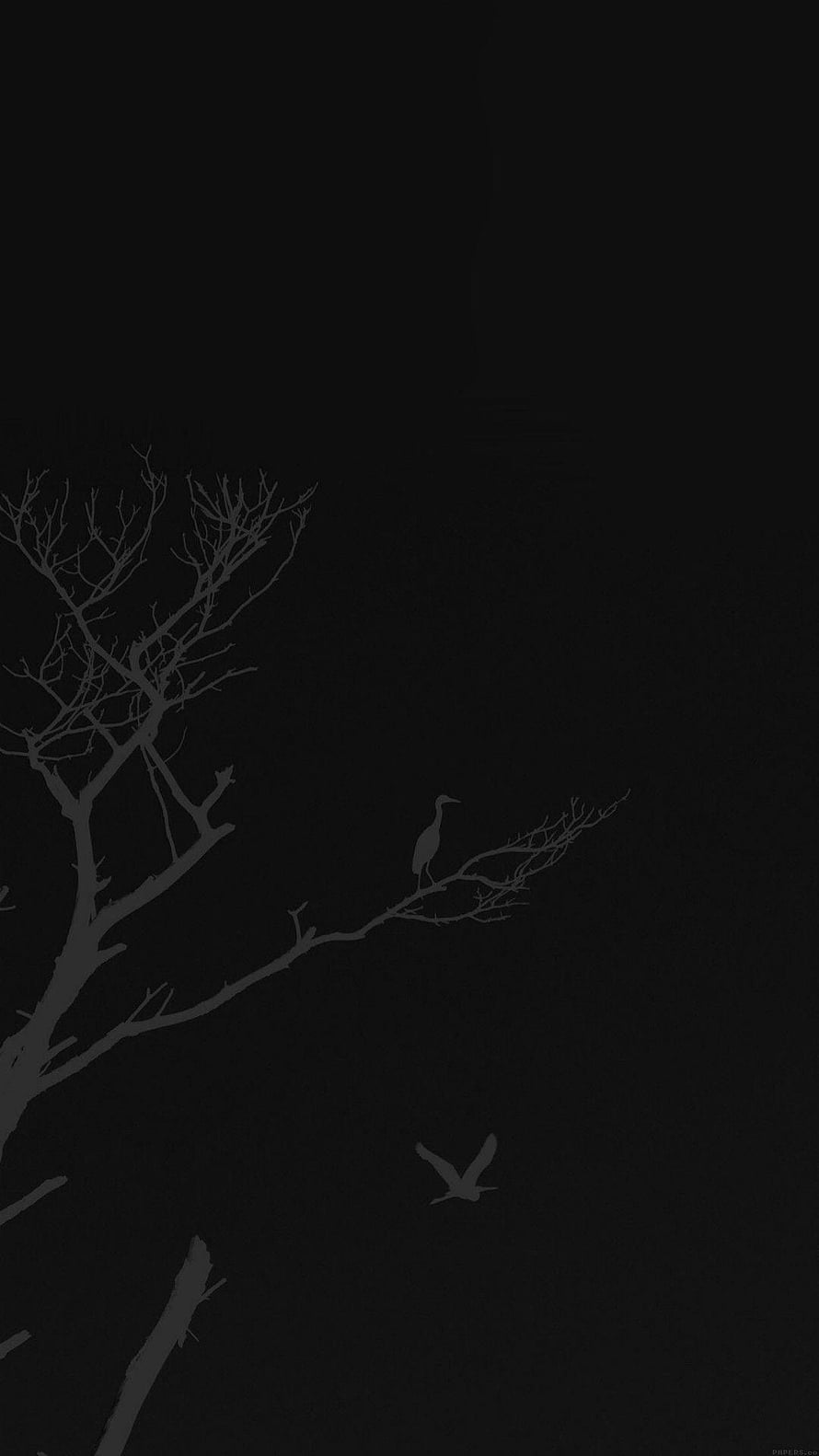Minimalist Dark Silhouette of Bare Tree Branches and Birds in Flight HD phone wallpaper