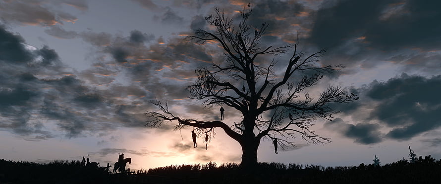 The Hanged Man Tree Silhouette at Dusk in The Witcher 3, Witcher 3 Hanged Man Tree HD wallpaper