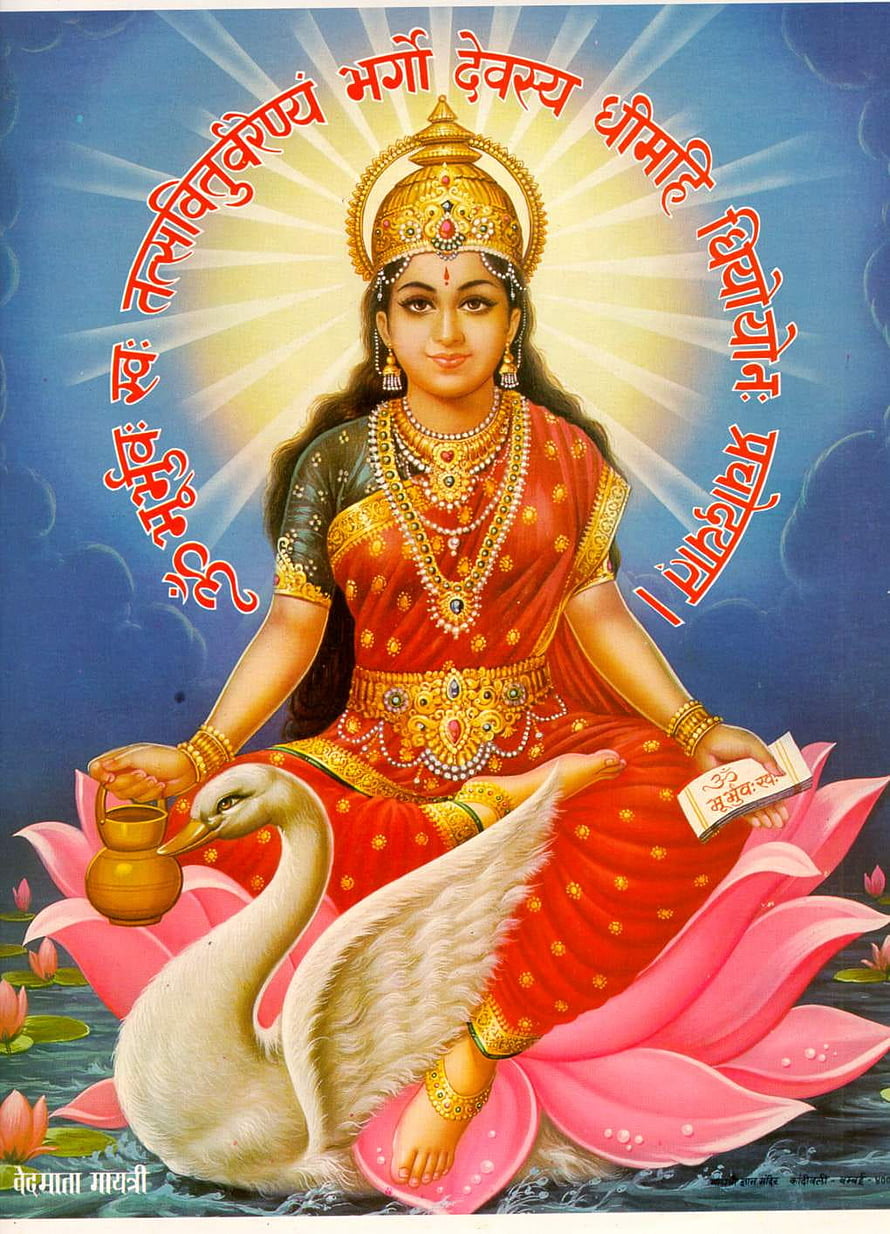 Goddess Saraswati Sitting on Lotus with Swan and Veena HD phone wallpaper