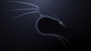 Kali Linux Dragon Logo Minimalist Dark Wallpaper HD wallpaper