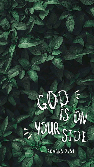 Romans 8:31 Bible Verse on Dark Green Foliage Background HD phone wallpaper