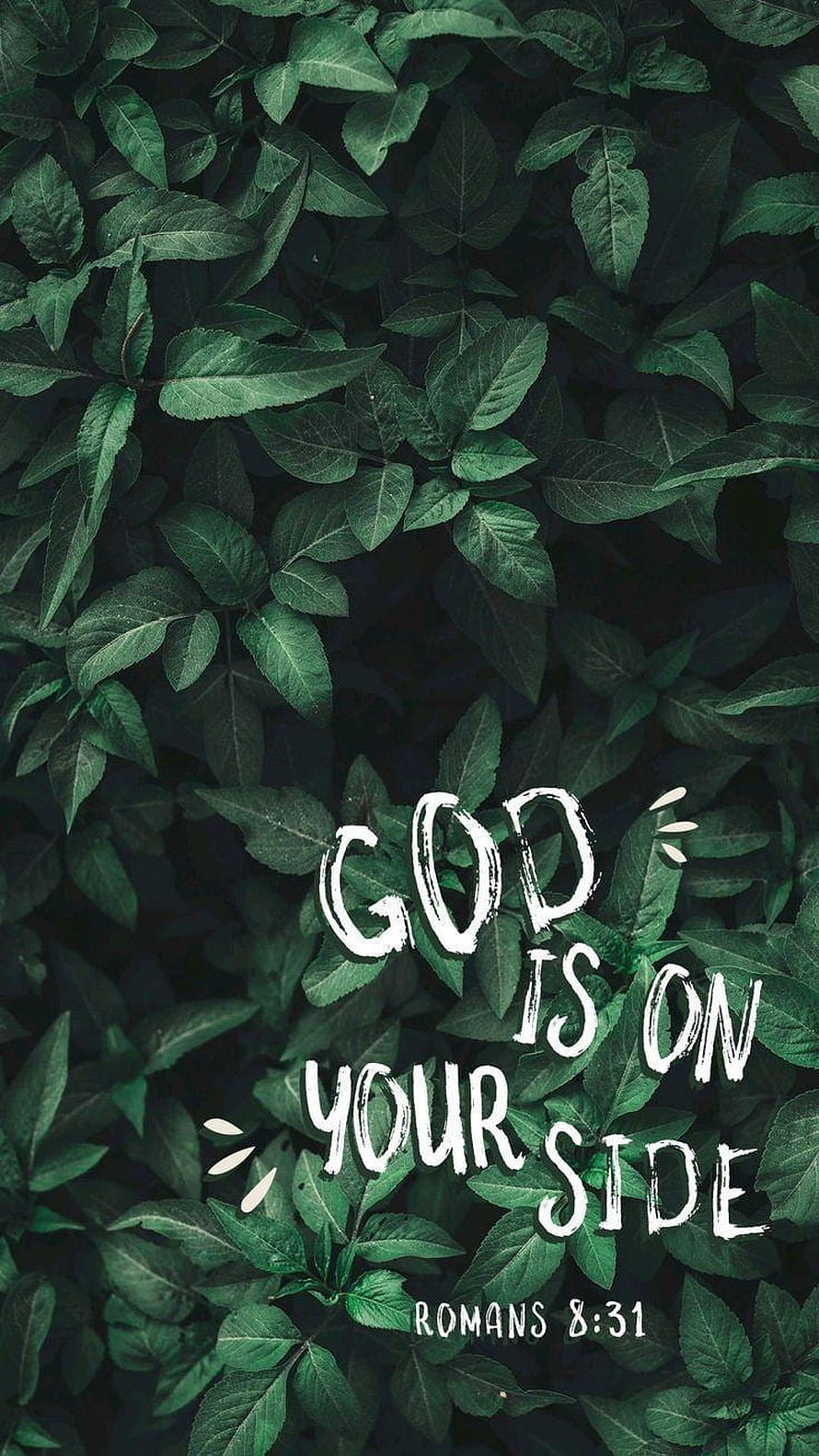 Romans 8:31 Bible Verse on Dark Green Foliage Background HD phone wallpaper