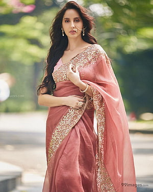 Nora Fatehi in a Pink Embroidered Saree with Gold Jewelry and Traditional Indian Attire HD phone wallpaper