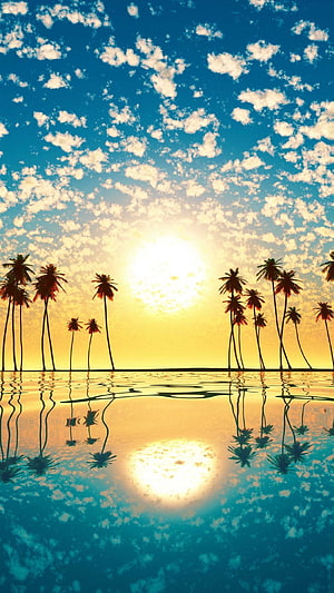 Tropical Palm Tree Silhouettes at Golden Sunset with Perfect Water Reflection HD phone wallpaper