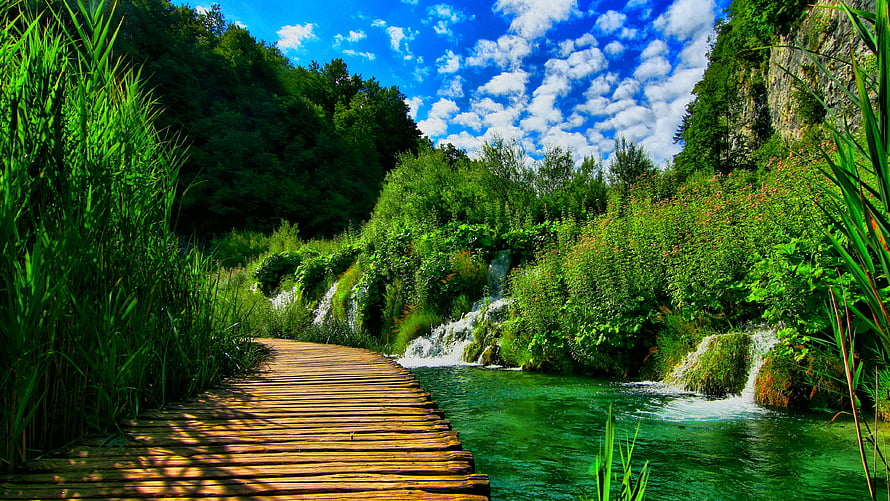 Serene Wooden Boardwalk Path Through Lush Green Waterfalls and Forest HD wallpaper