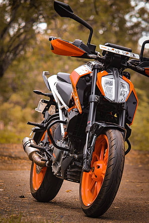 Orange KTM Duke 390 Motorcycle Parked on a Forest Trail HD phone wallpaper