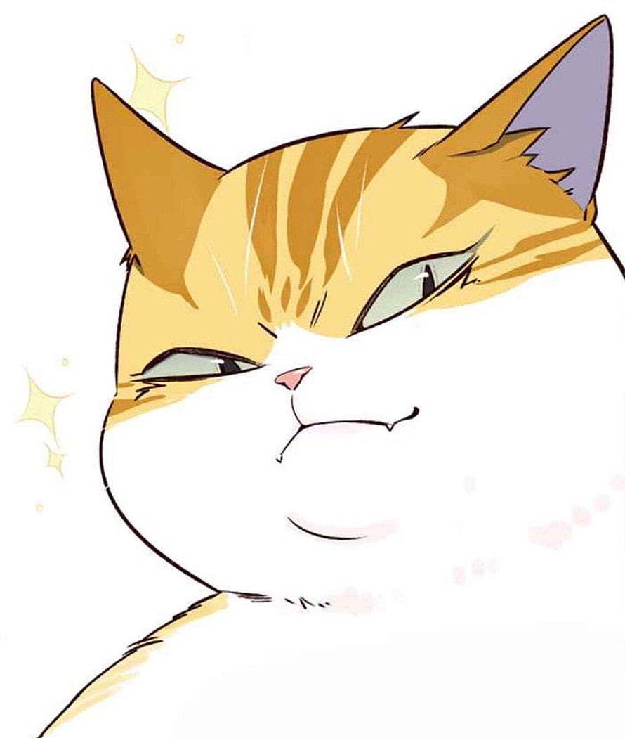 Kayden the Orange Tabby Cat from Eleceed in a Smug Anime Style Close-Up HD phone wallpaper