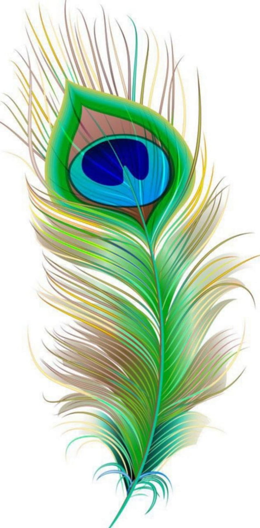 Vibrant Peacock Feather Digital Illustration with Emerald and Blue Eye Pattern HD phone wallpaper
