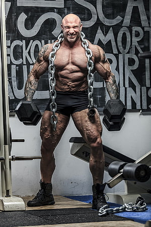 Muscular Bodybuilder Lifting Dumbbells With Heavy Chain In Gym HD phone wallpaper