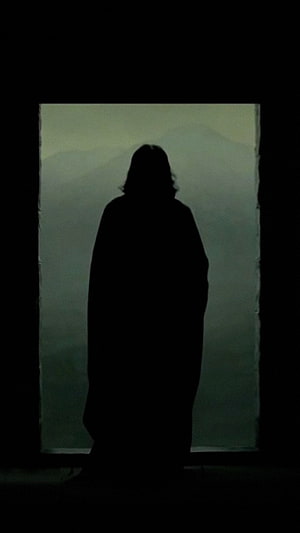 Severus Snape Silhouette Standing in Misty Mountain Window Frame HD phone wallpaper