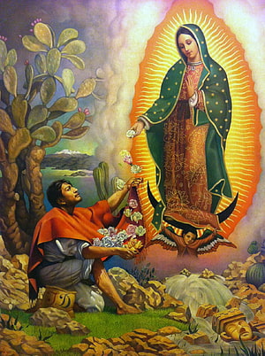 Our Lady of Guadalupe Appearing to Juan Diego in a Praying Pose HD phone wallpaper