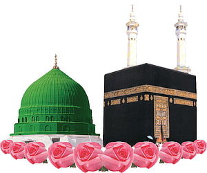 Islamic Holy Sites Kaaba and Green Dome with Pink Roses HD wallpaper