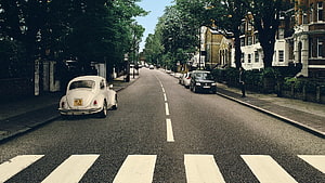 Classic White Volkswagen Beetle Parked on a Tree-Lined London Street HD wallpaper