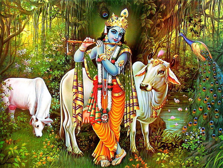 Lord Krishna Playing Flute in a Lush Forest with Cows and Peacocks HD wallpaper