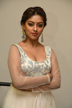 Anu Emmanuel in Elegant Silver Embroidered Gown with Traditional Indian Jewelry HD phone wallpaper