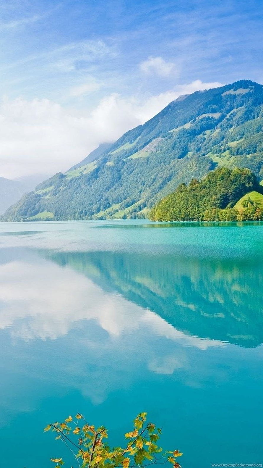 Serene Alpine Lake with Turquoise Water and Forested Mountain Reflections HD phone wallpaper