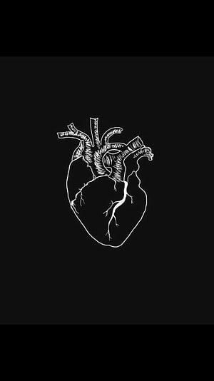 Anatomical Human Heart Sketch Illustration on Black Background, Instagram Highlight Aesthetic Black Heart, black instagram HD phone wallpaper