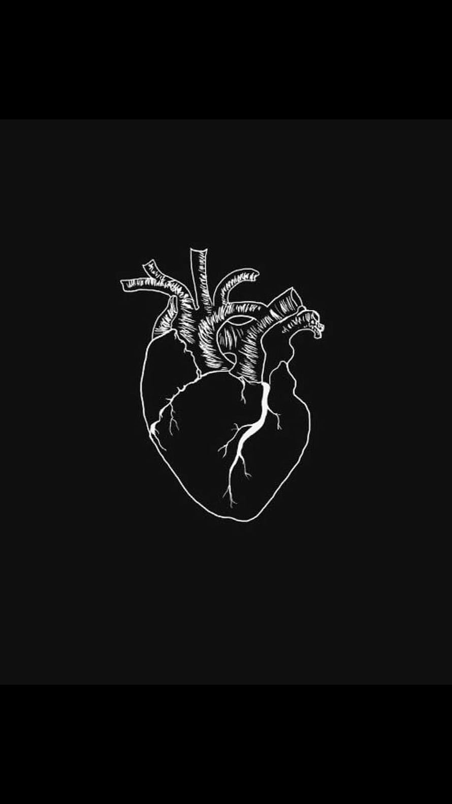 Anatomical Human Heart Sketch Illustration on Black Background, Instagram Highlight Aesthetic Black Heart, black instagram HD phone wallpaper