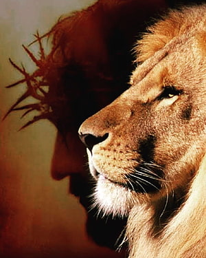 Lion Profile With Crown Of Thorns Silhouette Background HD phone wallpaper