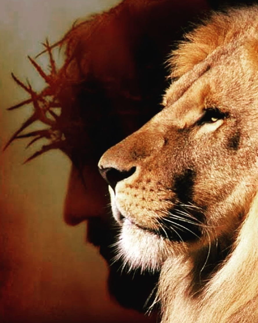 Lion Profile With Crown Of Thorns Silhouette Background HD phone wallpaper