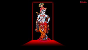 Lord Krishna in Traditional Attire with Flute on Black Background HD wallpaper