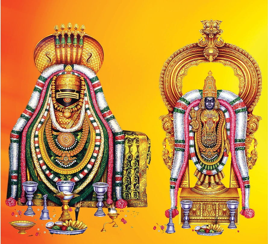 Lord Shiva and Goddess Parvati adorned in traditional temple garlands and gold ornaments HD wallpaper
