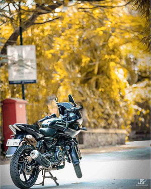 Black Bajaj Pulsar Motorcycle Parked on Street with Golden Autumn Trees HD phone wallpaper
