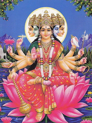 Goddess Durga Sitting on Lotus Flower with Multiple Arms Holding Weapons and Symbols HD phone wallpaper