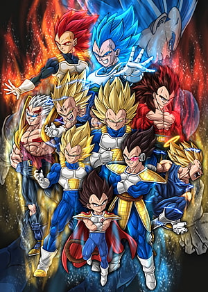 Vegeta All Forms Dragon Ball Super Anime Character Collection Wallpaper HD phone wallpaper
