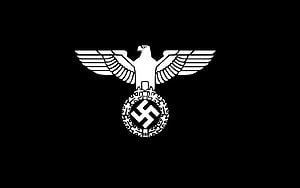 White Nazi Eagle and Swastika Emblem on Black Background HD wallpaper