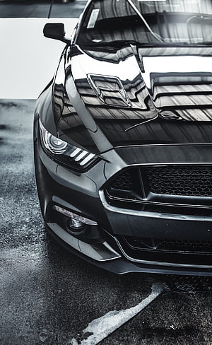 Black Ford Mustang Front Grille and Headlight Close-Up on Wet Asphalt HD phone wallpaper