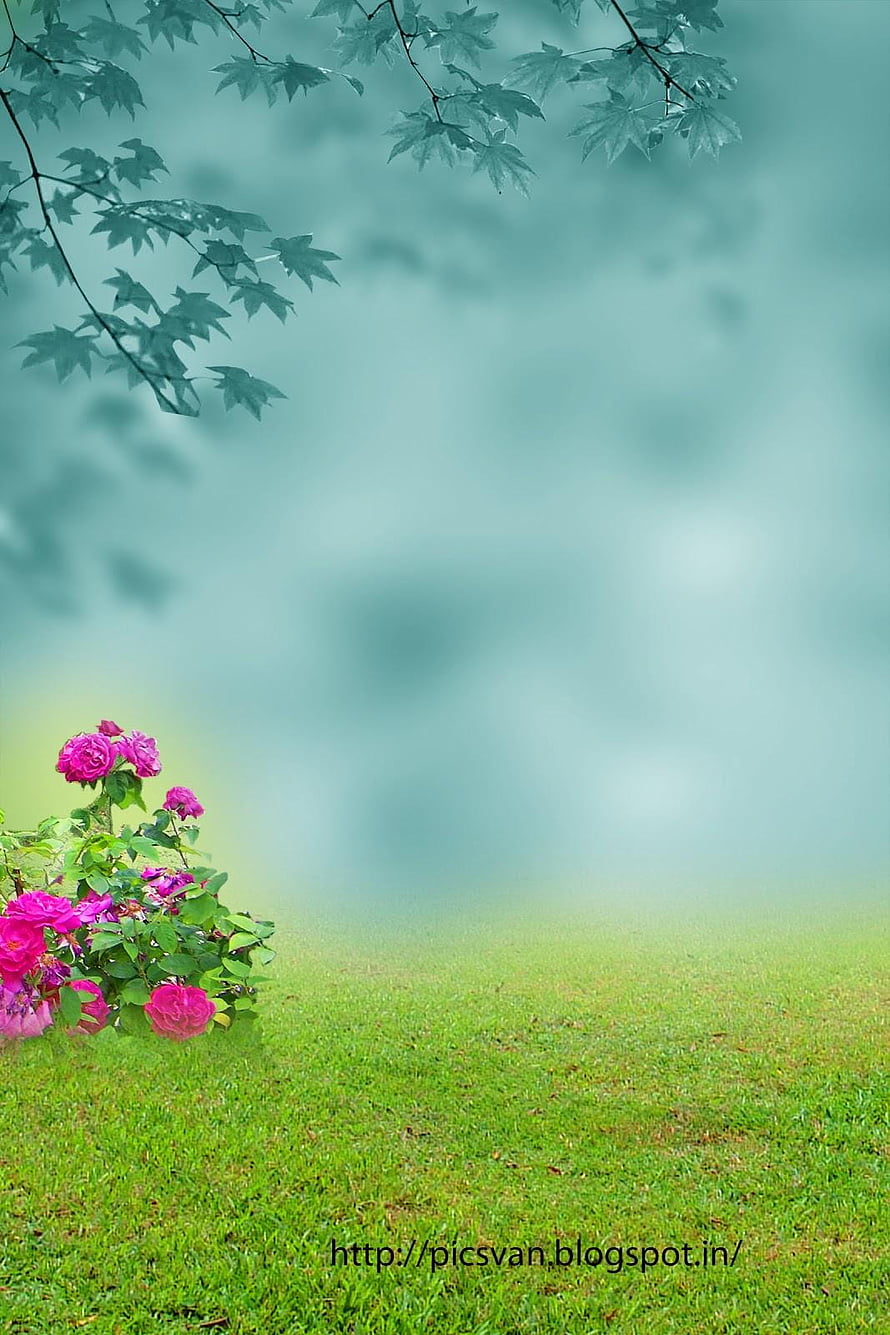 Serene Garden Scene With Pink Roses And Maple Leaves On Green Grass HD phone wallpaper