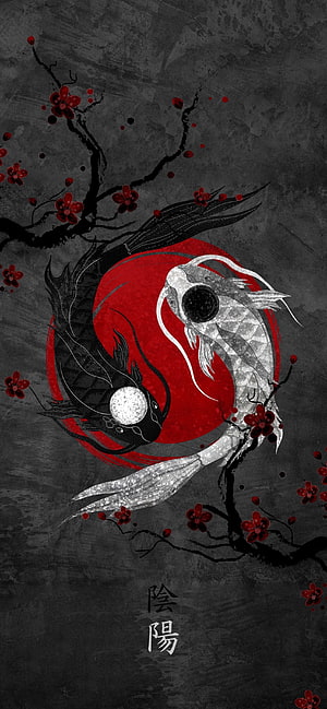 Yin Yang Koi Fish Artwork with Red Plum Blossoms on Dark Textured Background HD phone wallpaper