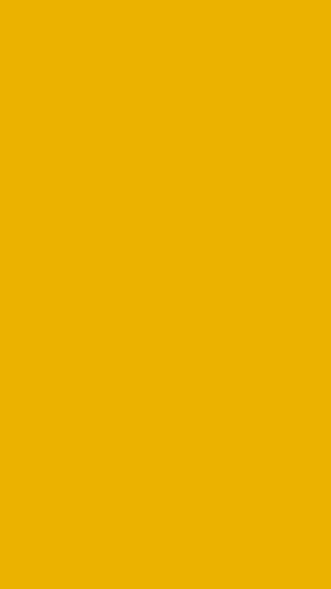 Solid Golden Yellow Plain Color Background for Minimalist Design Projects HD phone wallpaper