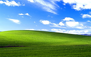 Bliss Windows XP Default Desktop Wallpaper Green Hill Blue Sky HD wallpaper